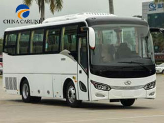 Rex Long PETORITUM bus XXXI sedes