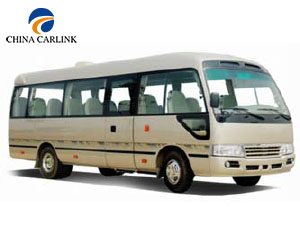 Rex Long Mini Bus 22 Sedes